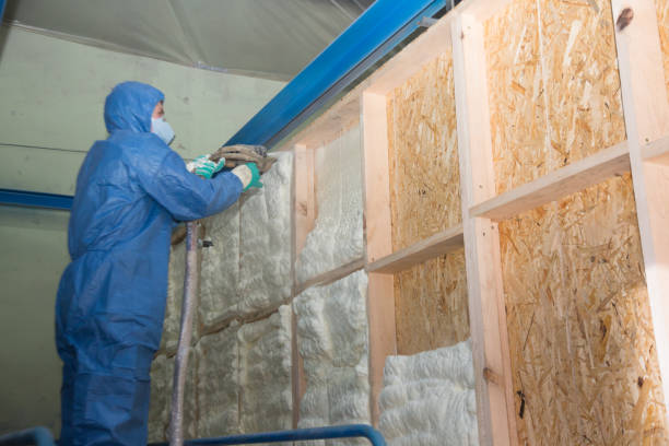 Insulation Inspection Services in Fernandina Beach, FL